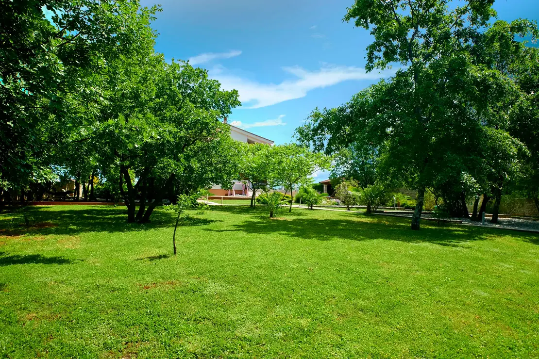 Grüner Garten mit alten Bäumen und schattigen Plätzen – Villa Štokovci, Ferienhaus in Istrien